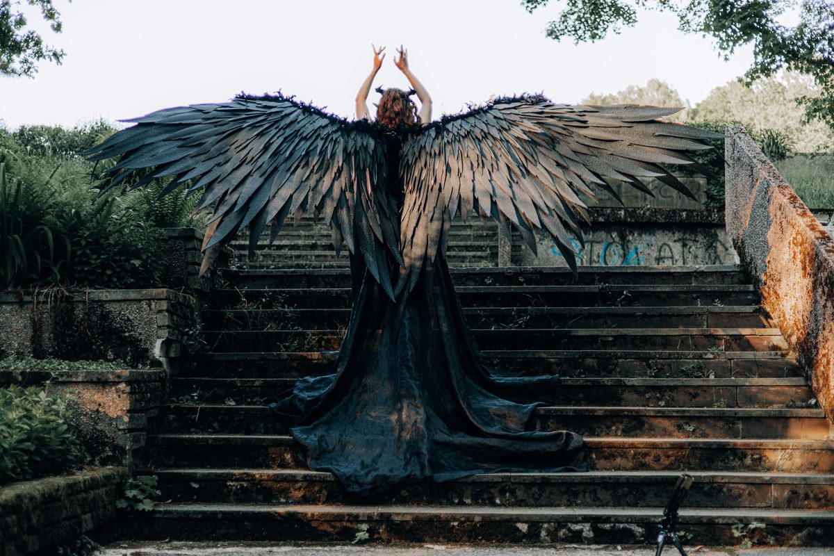 Black wings from behind