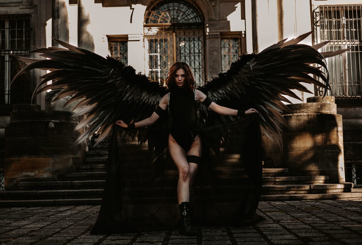 Dark wings urban