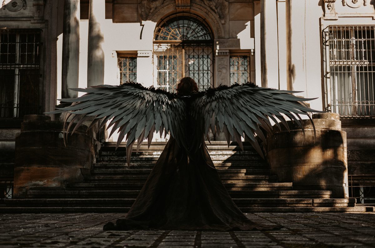 Wings from behind palace