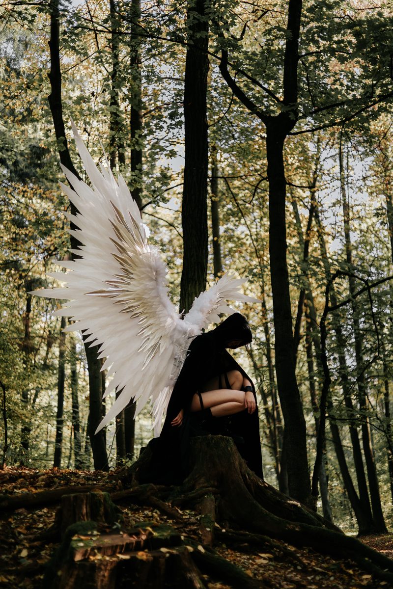 White wings in forest